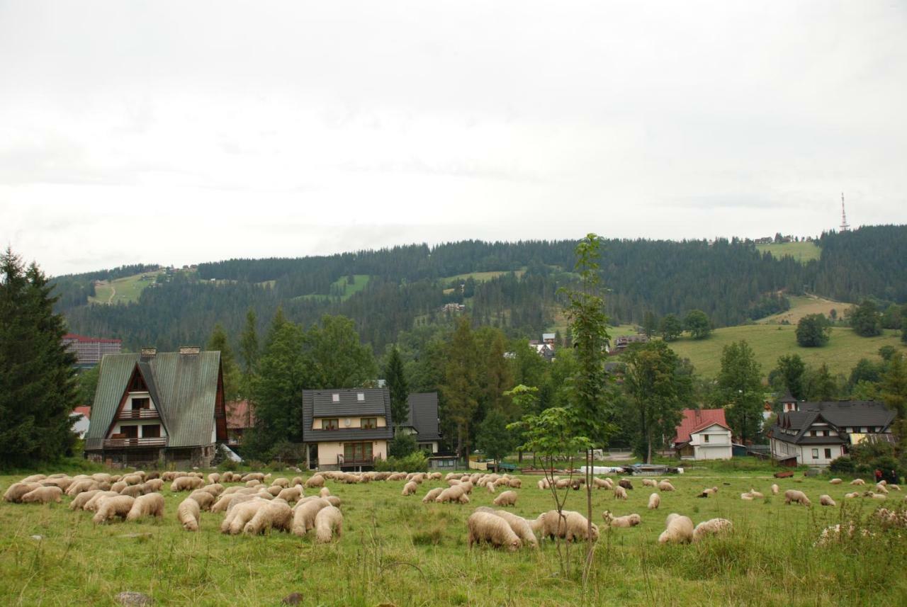 Domek Na Wierchu I Apartament Na Wierchu Zakopane Exteriér fotografie