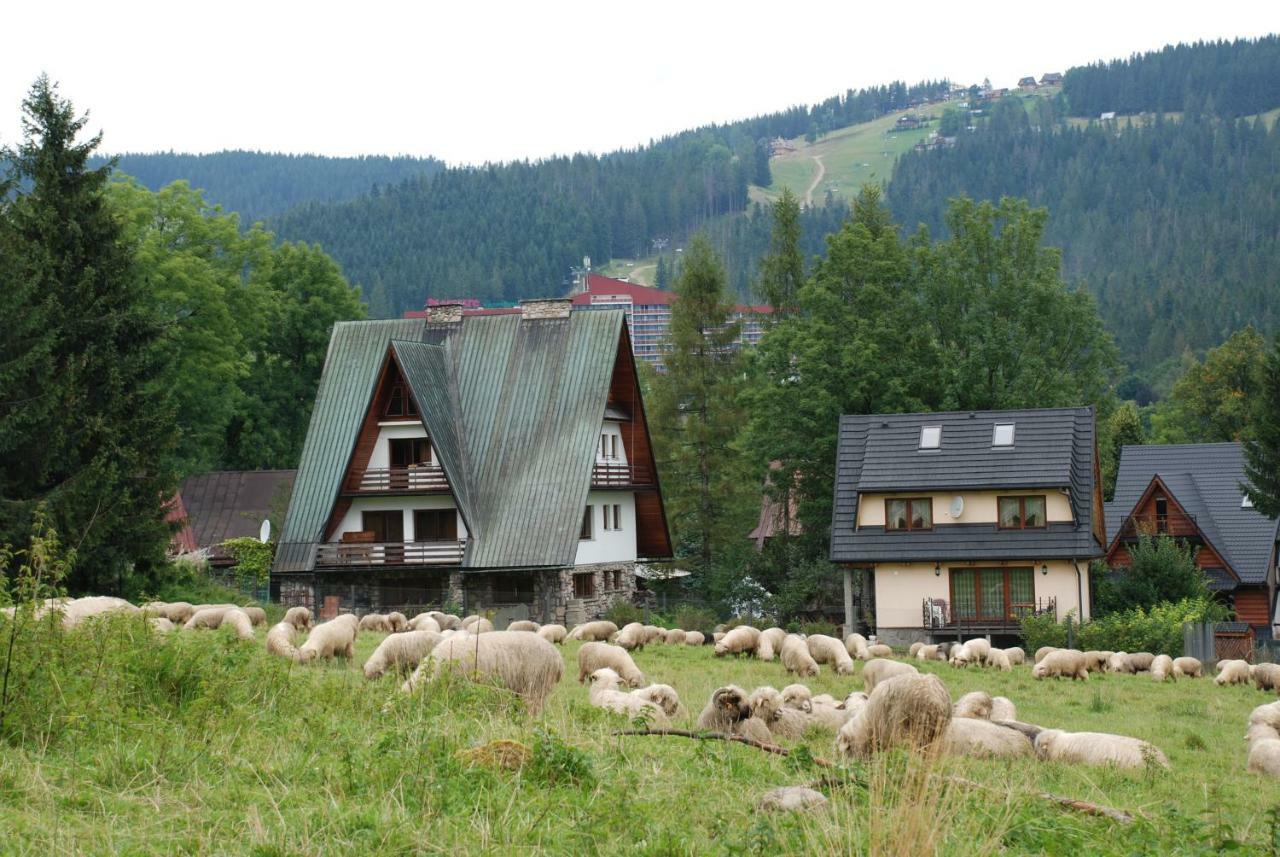 Domek Na Wierchu I Apartament Na Wierchu Zakopane Exteriér fotografie